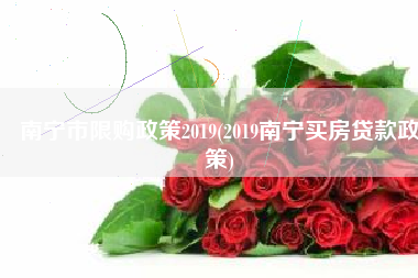 南宁市限购政策2019(2019南宁买房贷款政策)