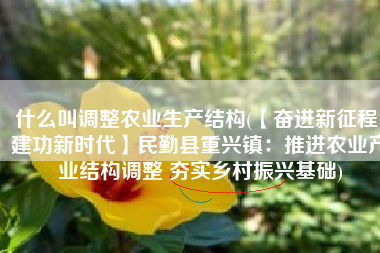 什么叫调整农业生产结构(【奋进新征程 建功新时代】民勤县重兴镇：推进农业产业结构调整 夯实乡村振兴基础)