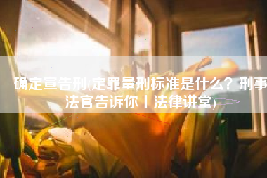 确定宣告刑(定罪量刑标准是什么？刑事法官告诉你丨法律讲堂)