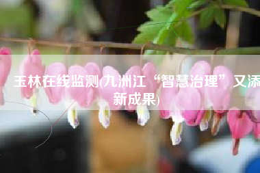 玉林在线监测(九洲江“智慧治理”又添新成果)