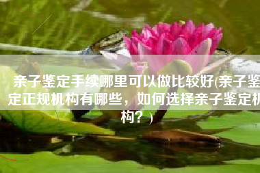 亲子鉴定手续哪里可以做比较好(亲子鉴定正规机构有哪些，如何选择亲子鉴定机构？)