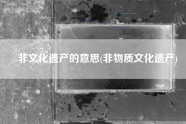非文化遗产的意思(非物质文化遗产)