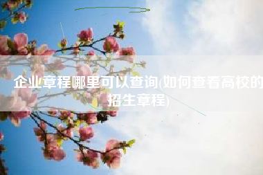企业章程哪里可以查询(如何查看高校的招生章程)