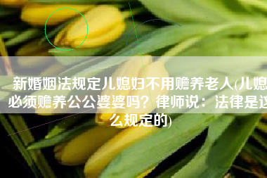 新婚姻法规定儿媳妇不用赡养老人(儿媳必须赡养公公婆婆吗？律师说：法律是这么规定的)
