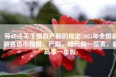 劳动法关于婚假产假的规定(2021年全国最新各省市婚假、产假、陪产假一览表，最高享一年假)