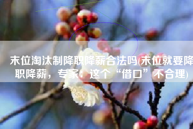 末位淘汰制降职降薪合法吗(末位就要降职降薪，专家：这个“借口”不合理)
