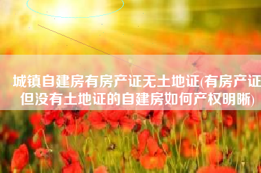 城镇自建房有房产证无土地证(有房产证但没有土地证的自建房如何产权明晰)