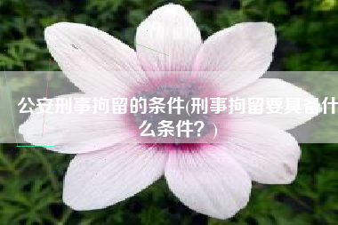 公安刑事拘留的条件(刑事拘留要具备什么条件？)
