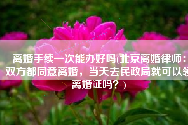 离婚手续一次能办好吗(北京离婚律师：双方都同意离婚，当天去民政局就可以领离婚证吗？)