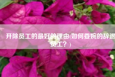 开除员工的最好的理由(如何委婉的辞退员工？)