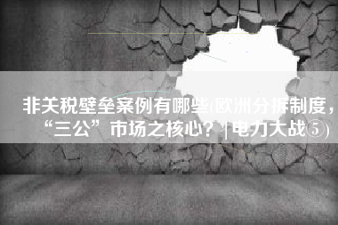 非关税壁垒案例有哪些(欧洲分拆制度，“三公”市场之核心？|电力大战⑤)