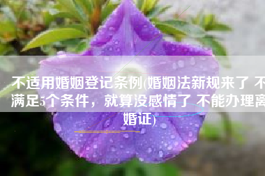 不适用婚姻登记条例(婚姻法新规来了 不满足5个条件，就算没感情了 不能办理离婚证)