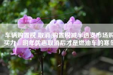 车辆购置税 取消(购置税减半透支市场购买力，明年优惠取消后才是燃油车的寒冬)