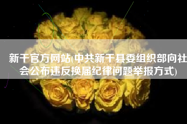 新干官方网站(中共新干县委组织部向社会公布违反换届纪律问题举报方式)