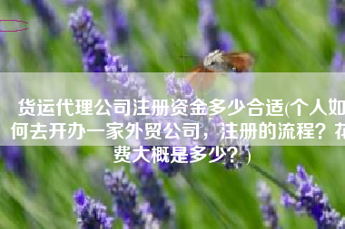 货运代理公司注册资金多少合适(个人如何去开办一家外贸公司，注册的流程？花费大概是多少？)