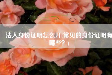 法人身份证明怎么开(常见的身份证明有哪些？)
