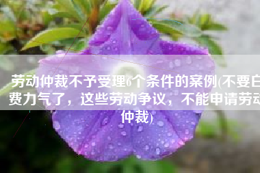 劳动仲裁不予受理6个条件的案例(不要白费力气了，这些劳动争议，不能申请劳动仲裁)