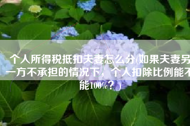 个人所得税抵扣夫妻怎么分(如果夫妻另一方不承担的情况下，个人扣除比例能不能100%？)