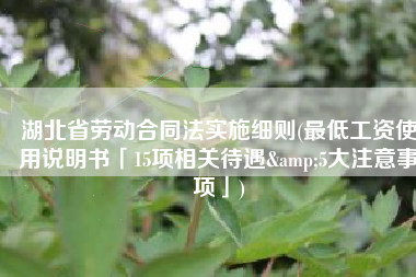 湖北省劳动合同法实施细则(最低工资使用说明书「15项相关待遇&5大注意事项」)