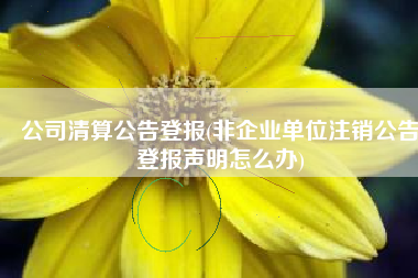 公司清算公告登报(非企业单位注销公告登报声明怎么办)