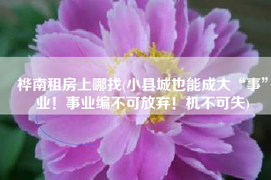 桦南租房上哪找(小县城也能成大“事”业！事业编不可放弃！机不可失)