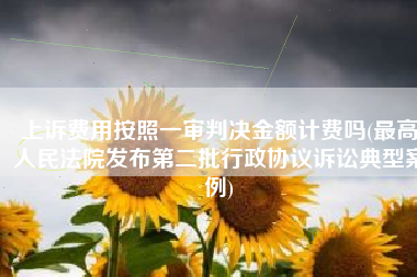 上诉费用按照一审判决金额计费吗(最高人民法院发布第二批行政协议诉讼典型案例)