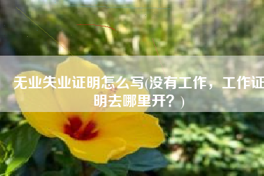 无业失业证明怎么写(没有工作，工作证明去哪里开？)