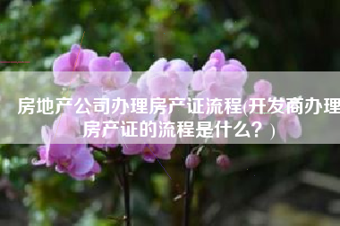 房地产公司办理房产证流程(开发商办理房产证的流程是什么？)
