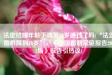 法定结婚年龄下调至18岁通过了吗(“法定婚龄降到18岁”，《中国婚姻家庭报告2022版》报告引热议)