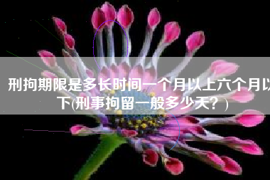 刑拘期限是多长时间一个月以上六个月以下(刑事拘留一般多少天？)