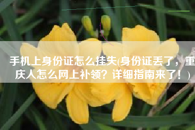 手机上身份证怎么挂失(身份证丢了，重庆人怎么网上补领？详细指南来了！)