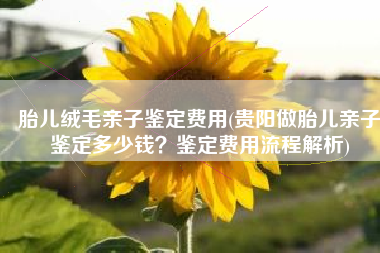 胎儿绒毛亲子鉴定费用(贵阳做胎儿亲子鉴定多少钱？鉴定费用流程解析)