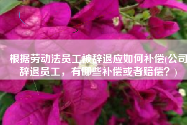 根据劳动法员工被辞退应如何补偿(公司辞退员工，有哪些补偿或者赔偿？)