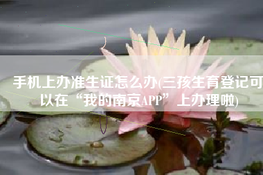 手机上办准生证怎么办(三孩生育登记可以在“我的南京APP”上办理啦)