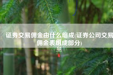 证券交易佣金由什么组成(证券公司交易佣金表组成部分)
