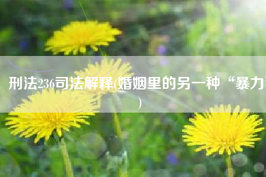 刑法236司法解释(婚姻里的另一种“暴力”)