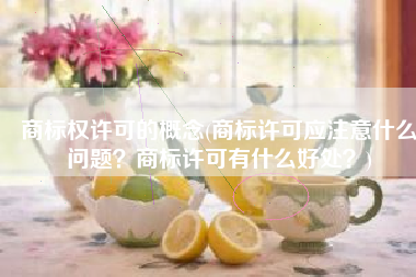 商标权许可的概念(商标许可应注意什么问题？商标许可有什么好处？)
