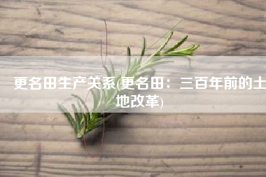 更名田生产关系(更名田：三百年前的土地改革)