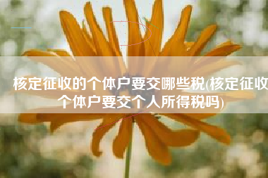 核定征收的个体户要交哪些税(核定征收个体户要交个人所得税吗)