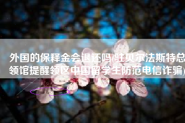外国的保释金会退还吗(驻贝尔法斯特总领馆提醒领区中国留学生防范电信诈骗)
