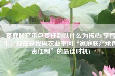 家庭联产承包责任制以什么为核心(李昌平：现在是我国农业重回“家庭联产承包责任制”的最佳时机)
