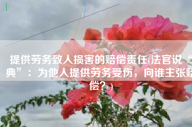 提供劳务致人损害的赔偿责任(法官说“典”：为他人提供劳务受伤，向谁主张赔偿？)
