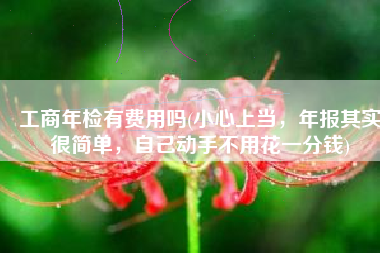 工商年检有费用吗(小心上当，年报其实很简单，自己动手不用花一分钱)