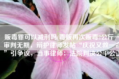 贩毒罪可以减刑吗(毒贩再次贩毒2公斤一审判无期，辩护律师发帖“庆祝又救一命”引争议，当事律师：法院判决公平公正)