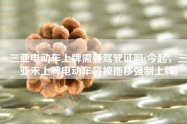 三亚电动车上牌需要驾驶证吗(今起，三亚未上牌电动车将被拖移强制上牌)