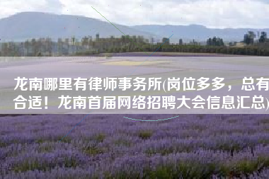 龙南哪里有律师事务所(岗位多多，总有合适！龙南首届网络招聘大会信息汇总)