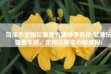 菏泽市定陶区哪里有律师事务所(女童玩耍遭车祸，定陶法援中心助维权)