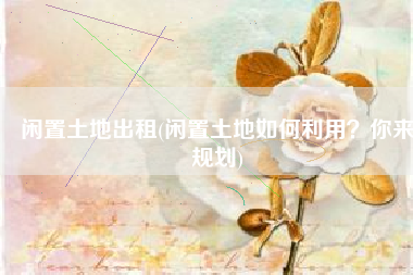 闲置土地出租(闲置土地如何利用？你来规划)