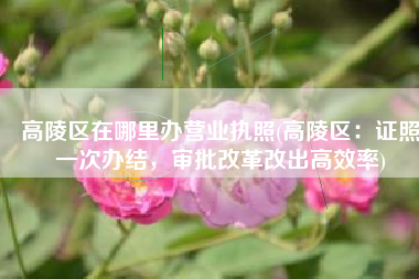 高陵区在哪里办营业执照(高陵区：证照一次办结，审批改革改出高效率)