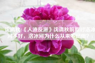 沈清秋(《人渣反派》沈清秋前期对洛冰河不好，洛冰河为什么从来不记恨？)